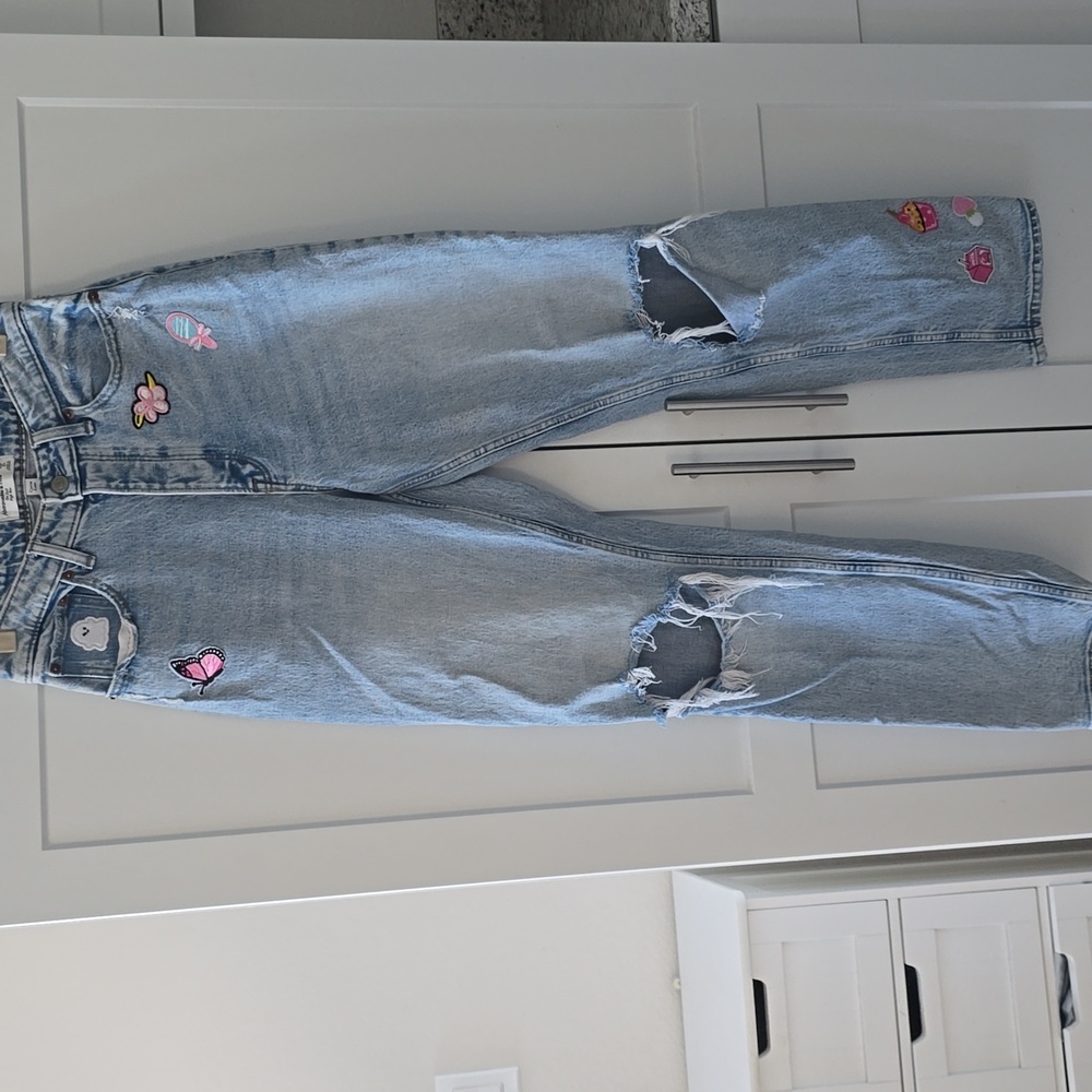 Abercrombie & Fitch The Dad High Rise Jeans Curve Love Size 2